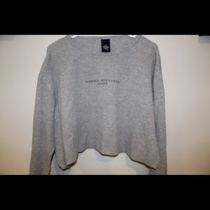 Cropped Tommy Hilfiger Long Sleeve